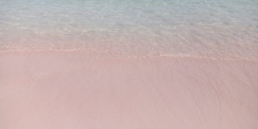 Pasir pink dan birunya laut