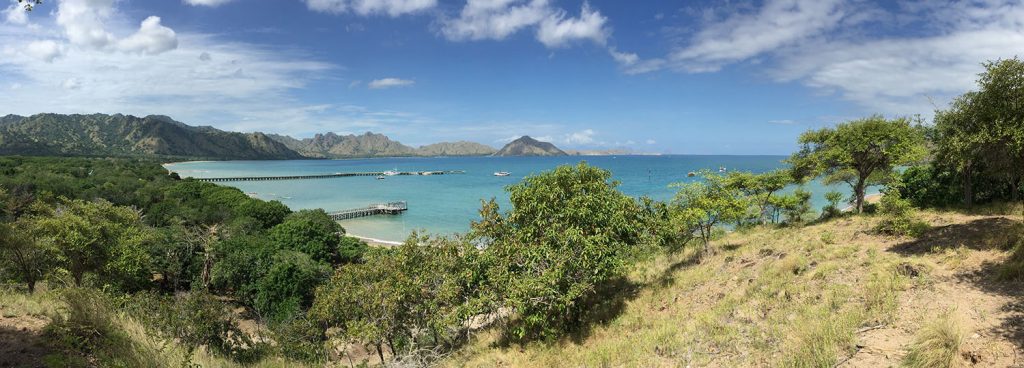 Pulau Komodo